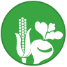 Icono de semillas
